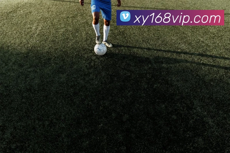 杏运体育官网发展历程